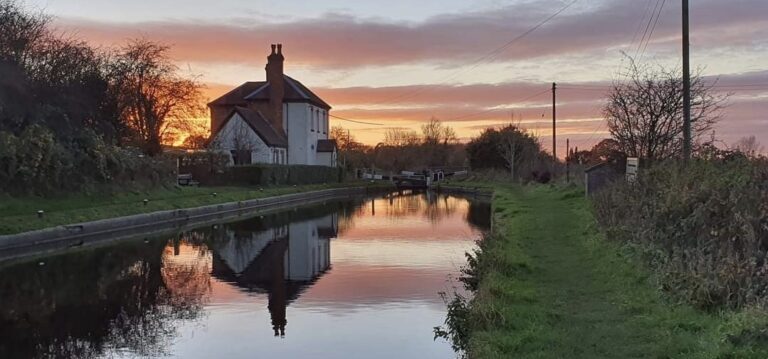 tempFileForShare 20240330 185042 768x359