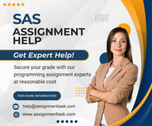 SAS Assignment Help 300x249