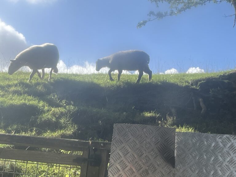 tempImaged3nqhY 768x576