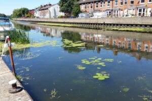 1907162lowside 300x199