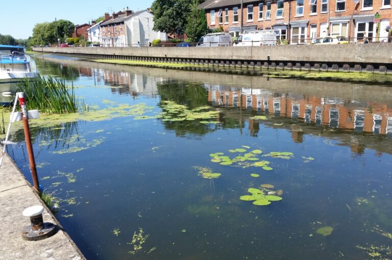 1907162lowside 768x510